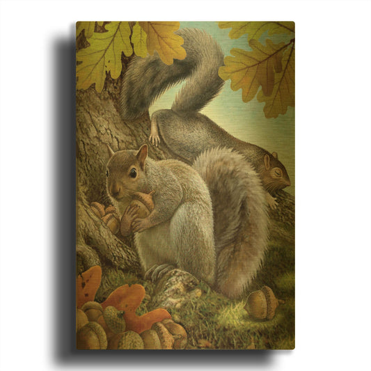 'Four Of Earth-Squirrels' By Dan Craig Gold Metal Wall Art