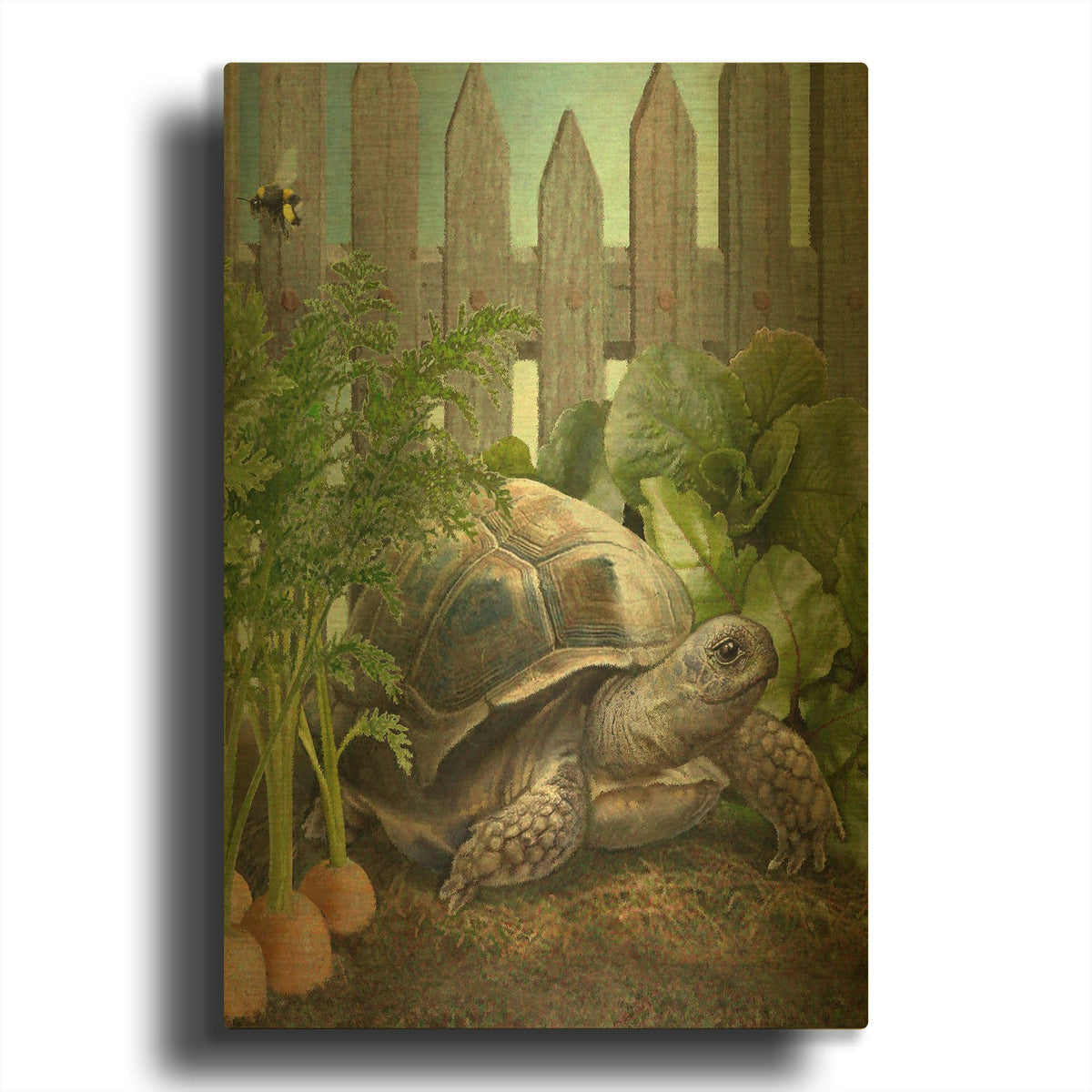 'Four Of Water-Tortiose' By Dan Craig Gold Metal Wall Art