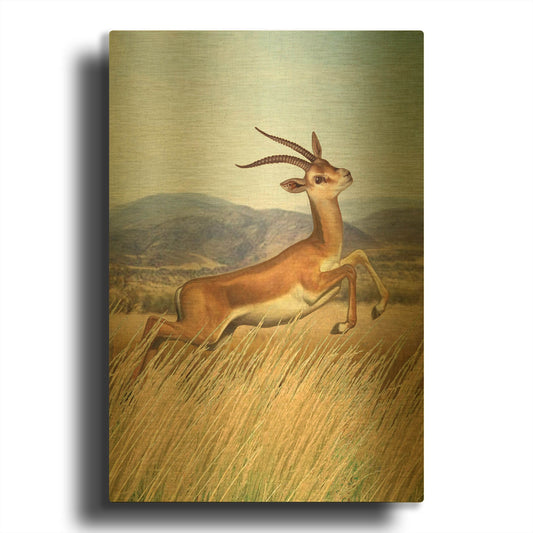 'Nine Of Fire Gazelle' By Dan Craig Gold Metal Wall Art