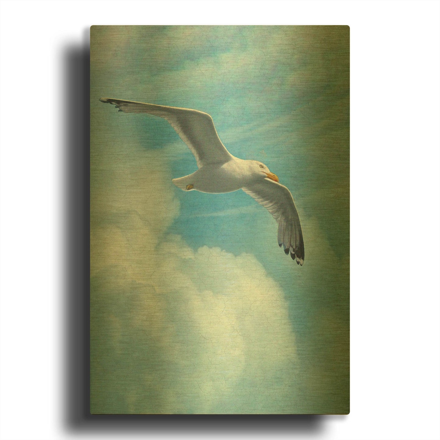 'Page Of Earth-Seasgull' By Dan Craig Gold Metal Wall Art