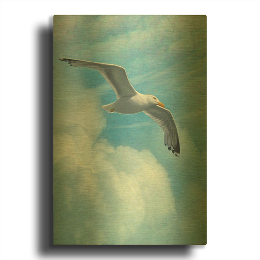 'Page Of Earth-Seasgull' By Dan Craig Gold Metal Wall Art