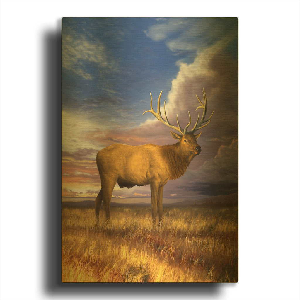 'Elk at Sunset' By Chris Dobrowolski Gold Metal Wall Art
