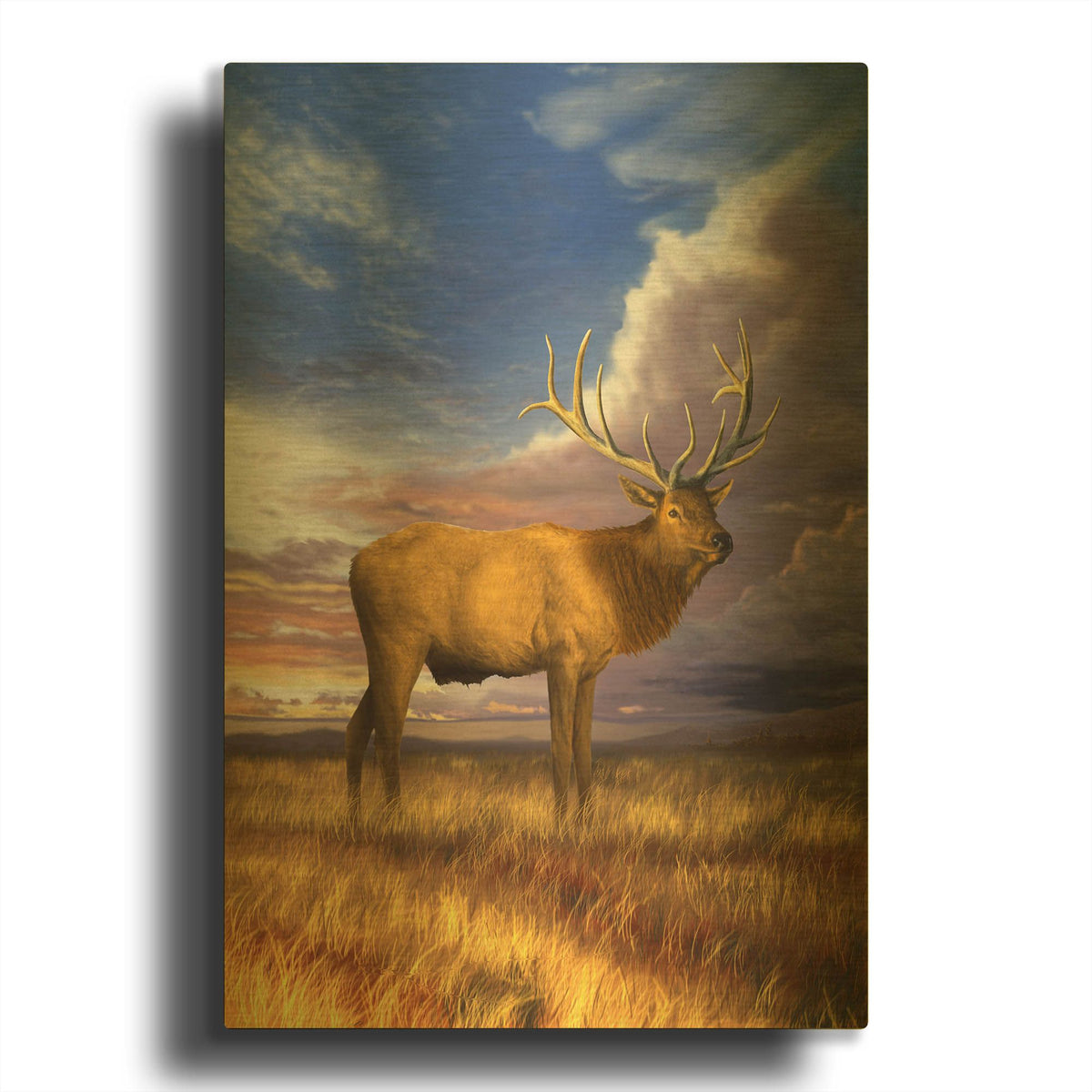 'Elk at Sunset' By Chris Dobrowolski Gold Metal Wall Art