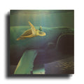 'Sea Turtle and Friend' By Chris Dobrowolski Gold Metal Wall Art