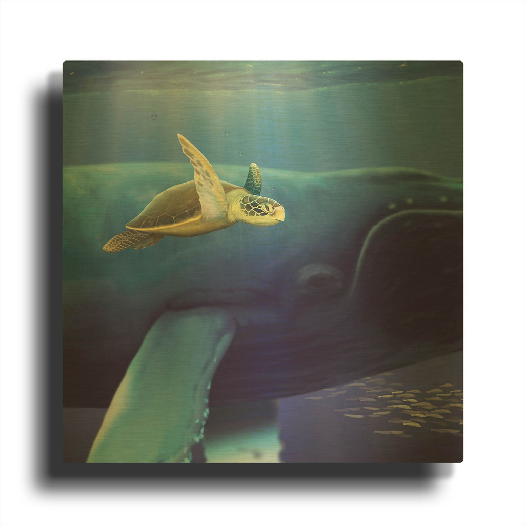 'Sea Turtle and Friend' By Chris Dobrowolski Gold Metal Wall Art