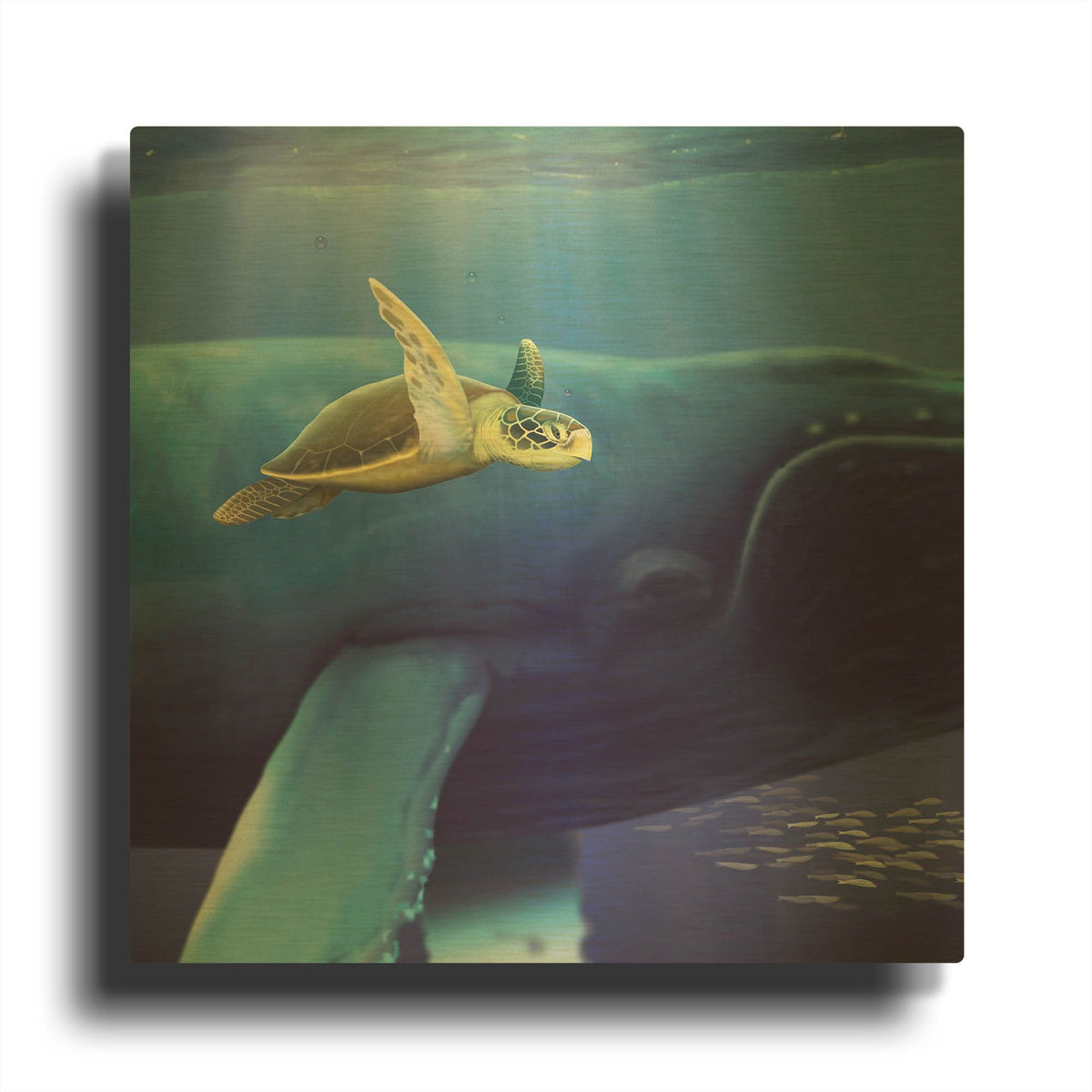'Sea Turtle and Friend' By Chris Dobrowolski Gold Metal Wall Art