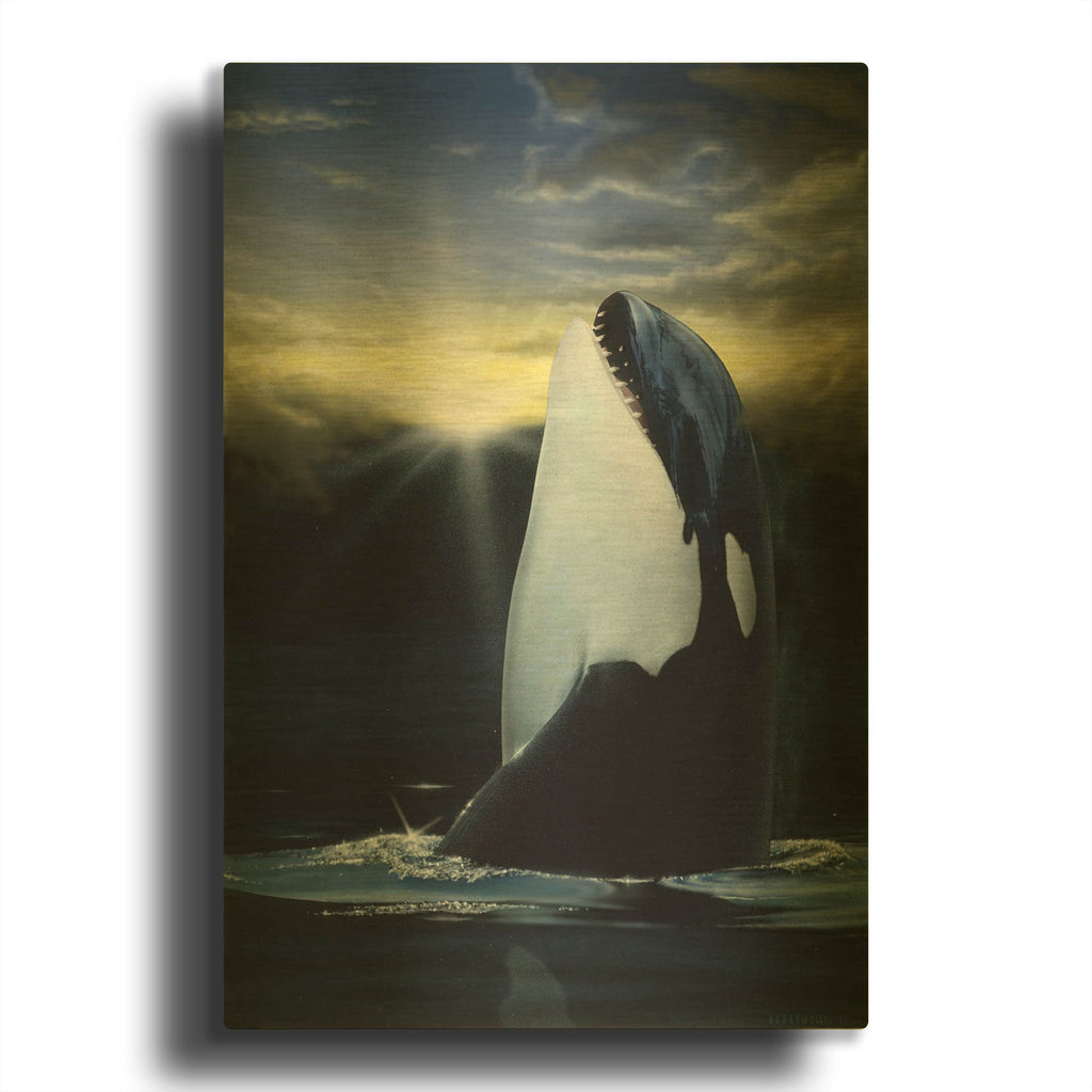 'Orca Sunset' By Chris Dobrowolski Gold Metal Wall Art