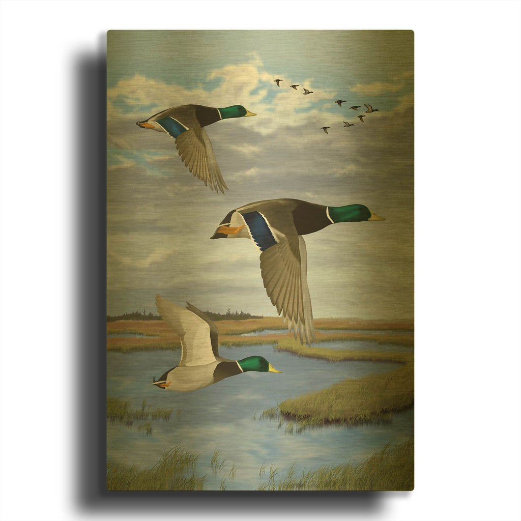 'Salt Marsh Mallards' By Chris Dobrowolski Gold Metal Wall Art