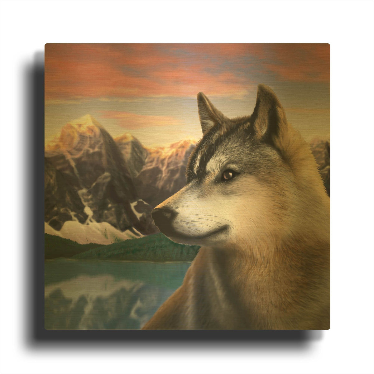 'Rockies Wolf' By Chris Dobrowolski Gold Metal Wall Art
