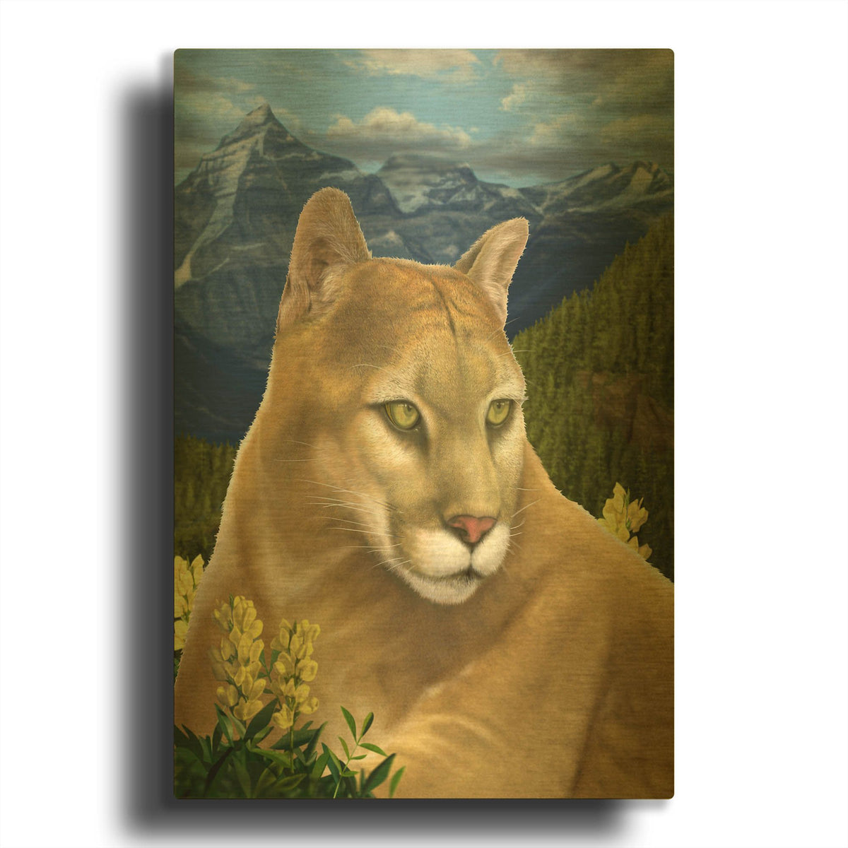 'Rockies Mountain Lion' By Chris Dobrowolski Gold Metal Wall Art