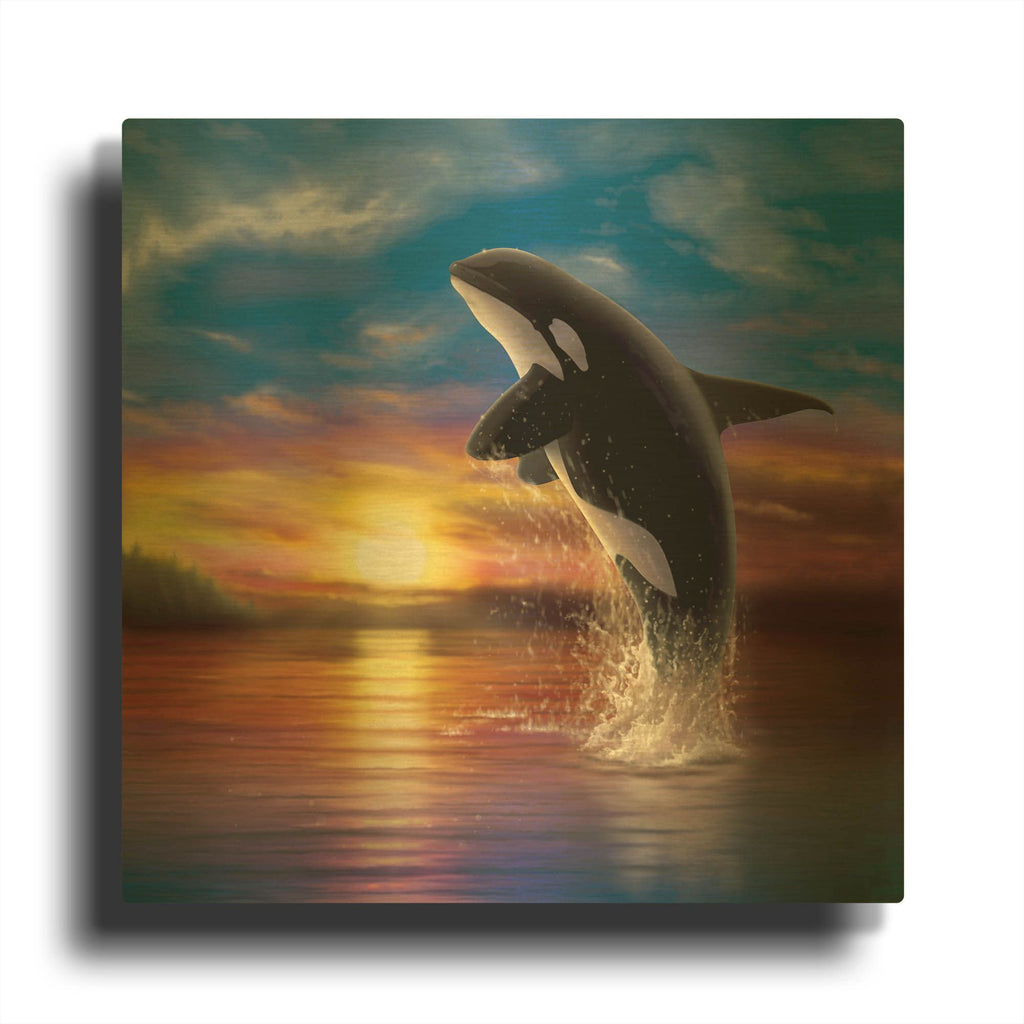 'Orca Sunrise' By Chris Dobrowolski Gold Metal Wall Art