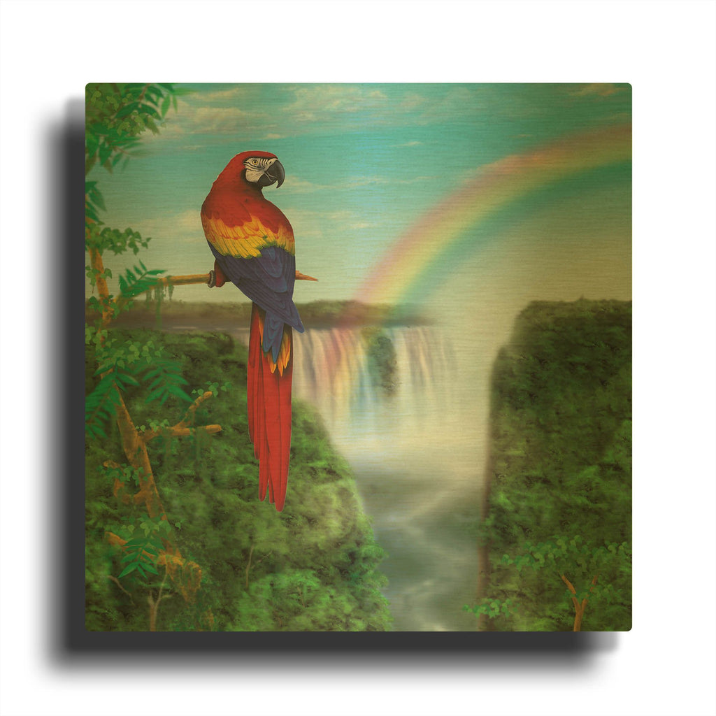 'Macaw' By Chris Dobrowolski Gold Metal Wall Art