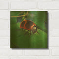 'Beetle' By Durwood Coffey Gold Metal Wall Art