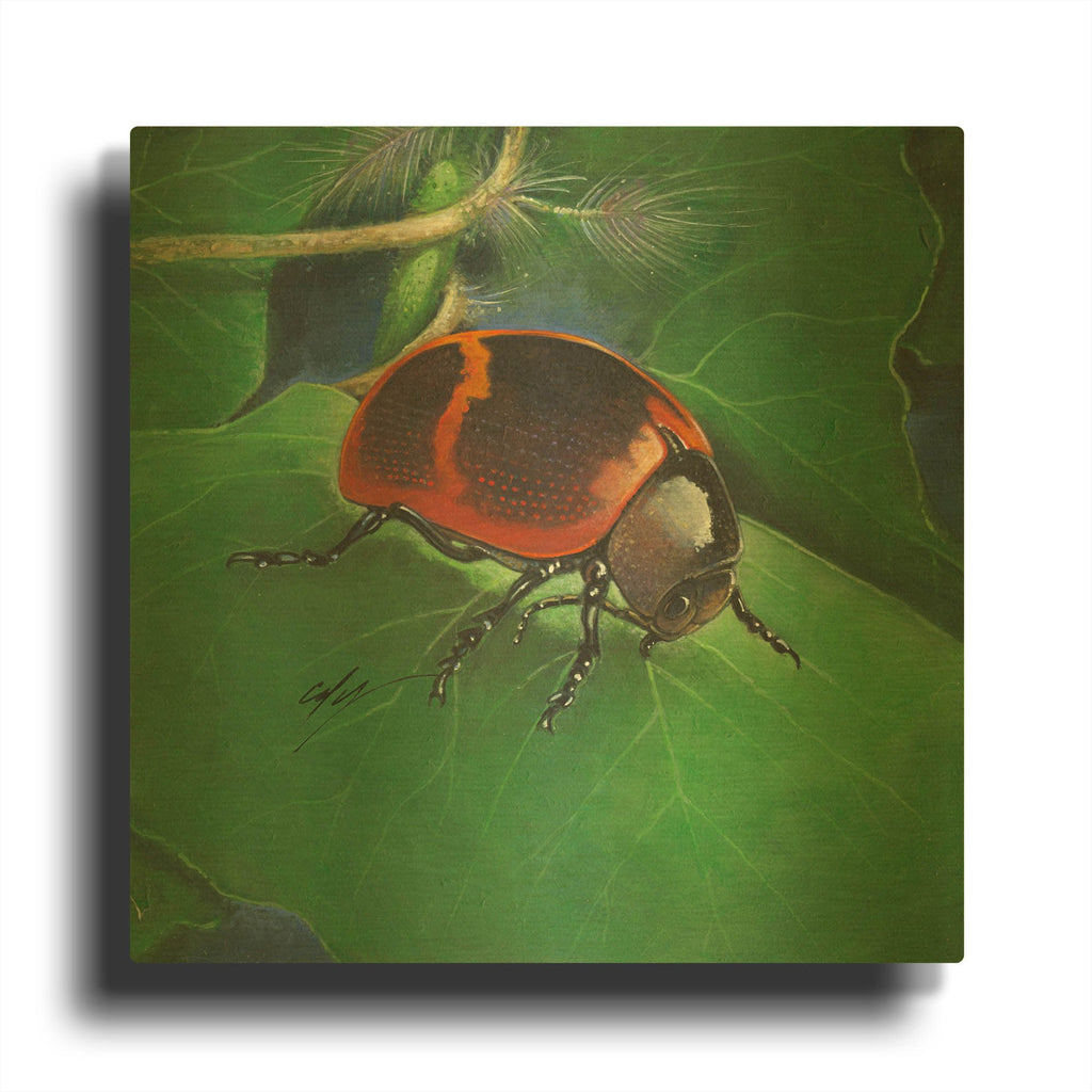 'Beetle' By Durwood Coffey Gold Metal Wall Art