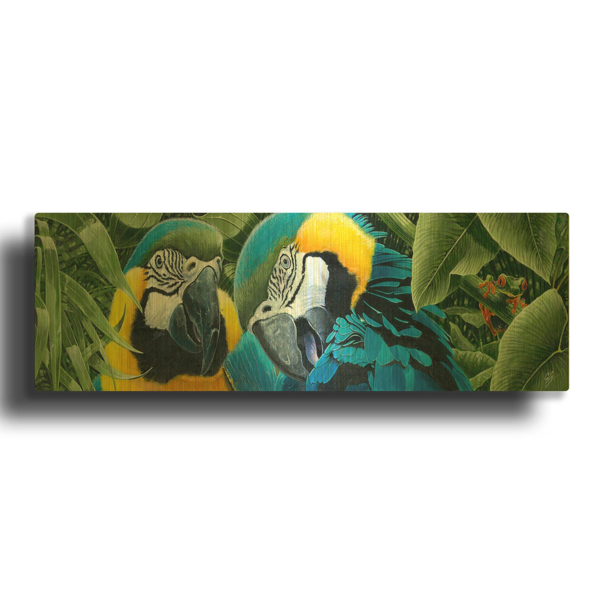 'Blue & Yellow Macaws' By Durwood Coffey Gold Metal Wall Art
