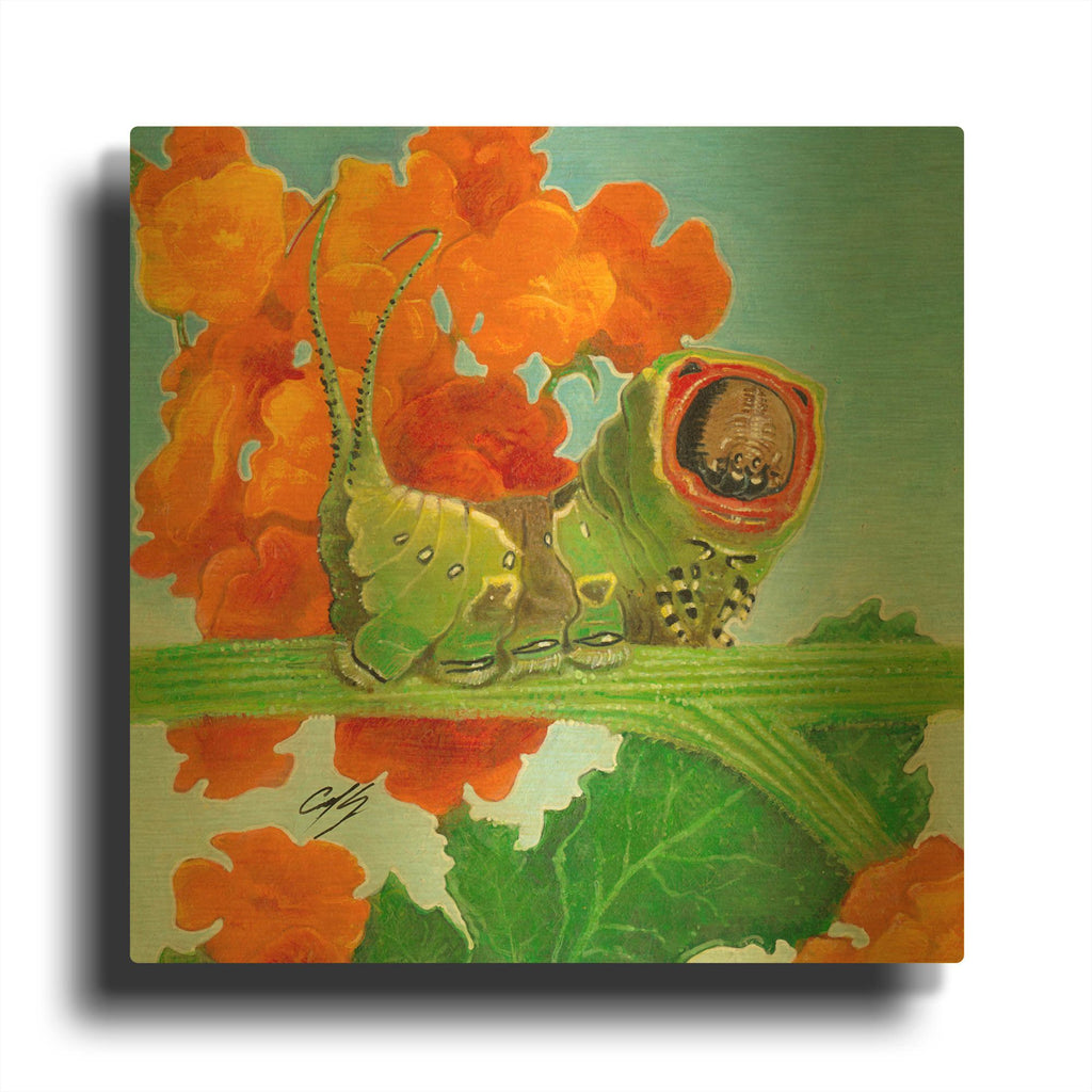'Caterpillar' By Durwood Coffey Gold Metal Wall Art