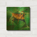'Grasshopper' By Durwood Coffey Gold Metal Wall Art