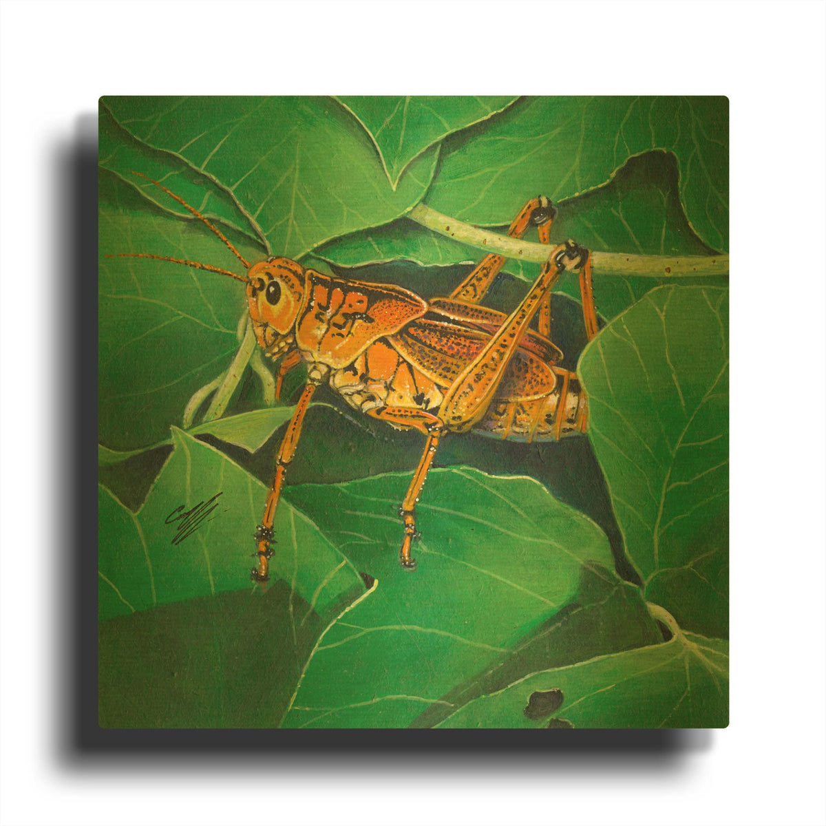 'Grasshopper' By Durwood Coffey Gold Metal Wall Art