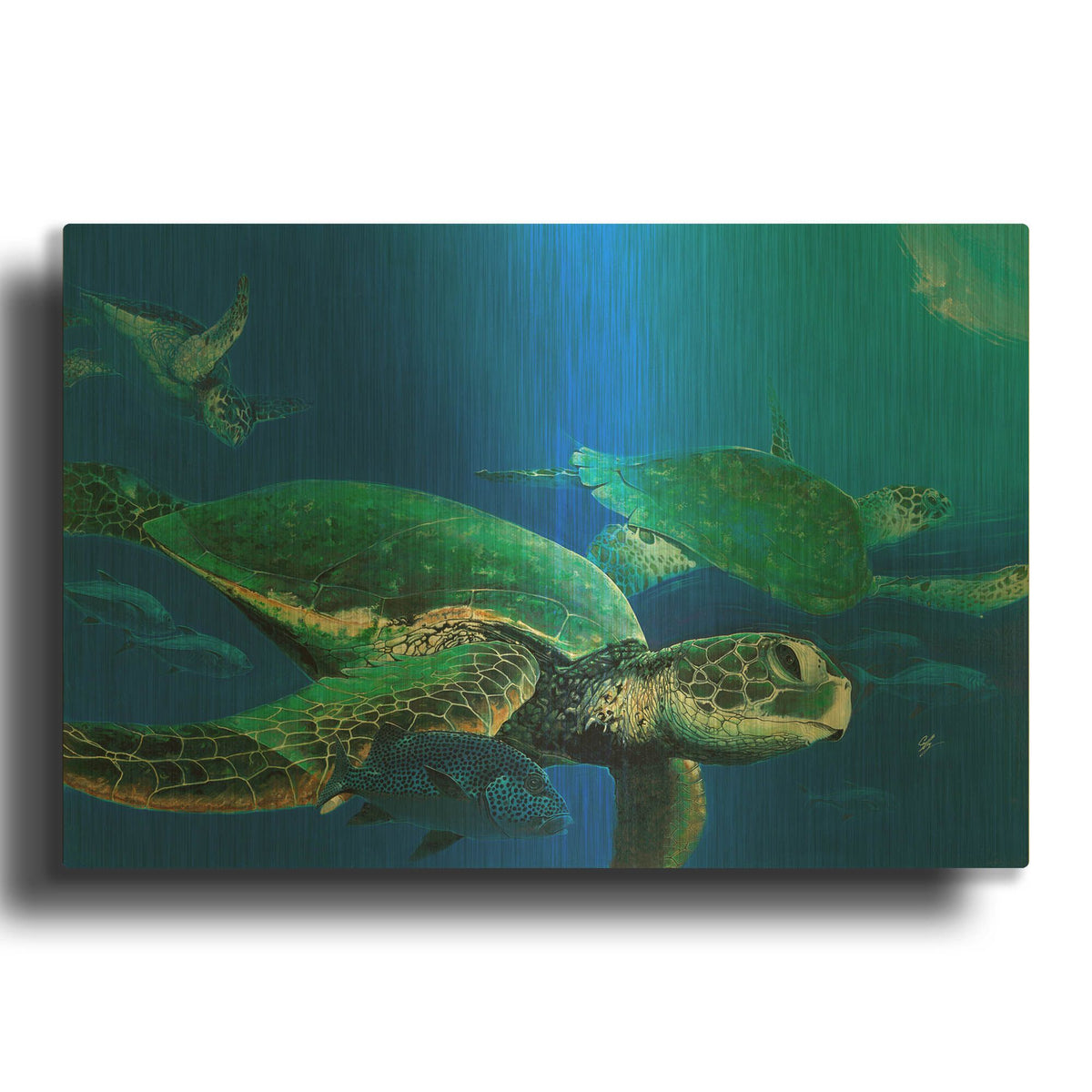 'Green Sea Turtles' By Durwood Coffey Gold Metal Wall Art