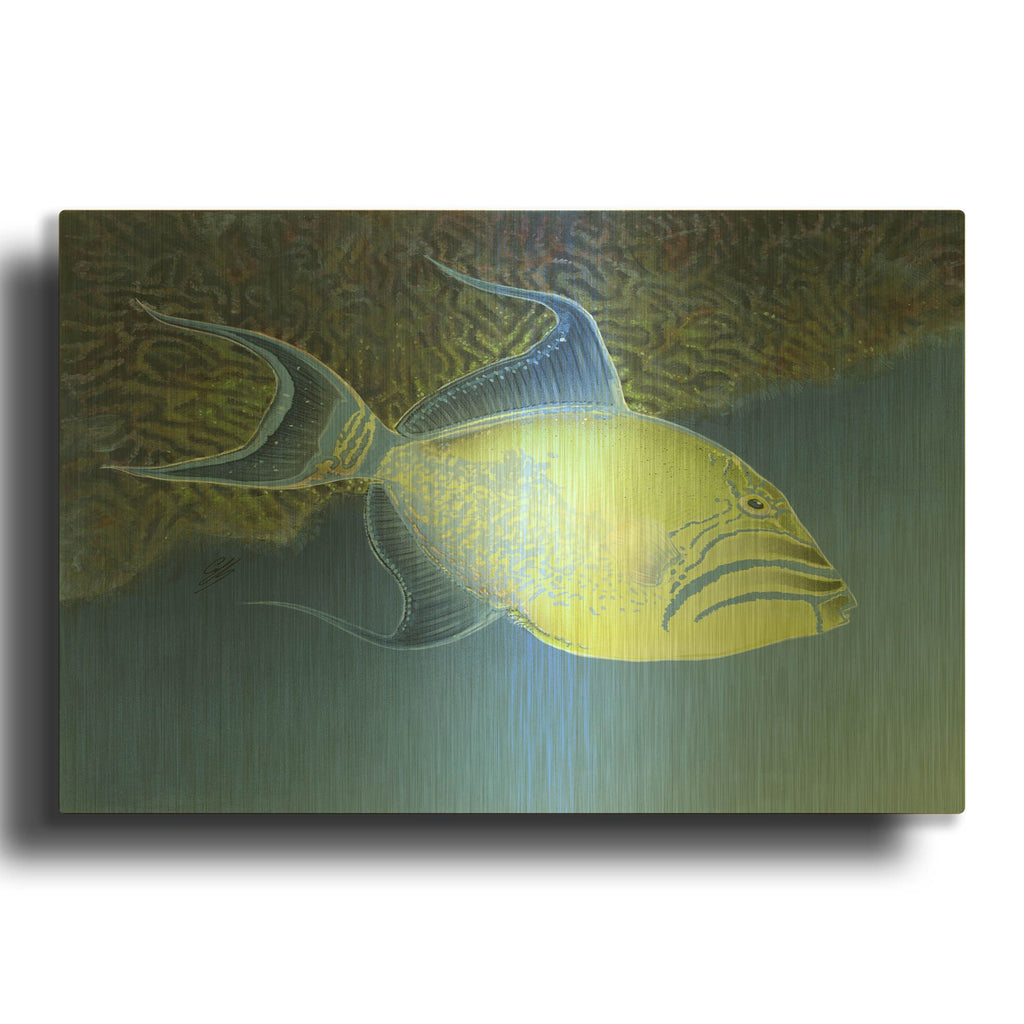 'Trigger Fish' By Durwood Coffey Gold Metal Wall Art