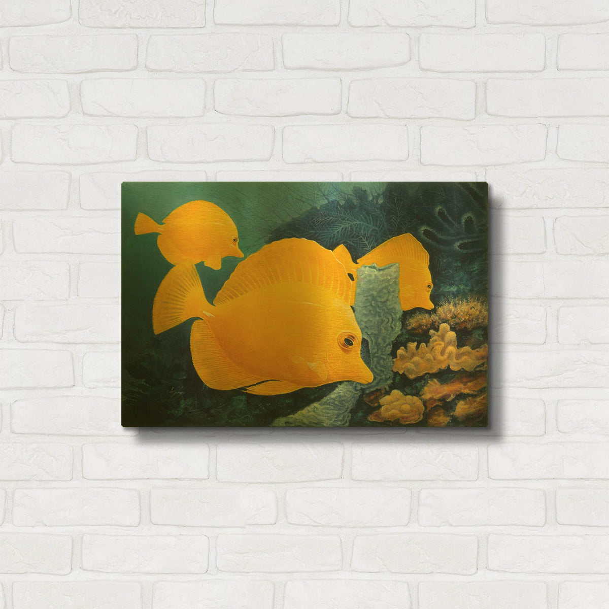 'Yellow Tangs' By Durwood Coffey Gold Metal Wall Art