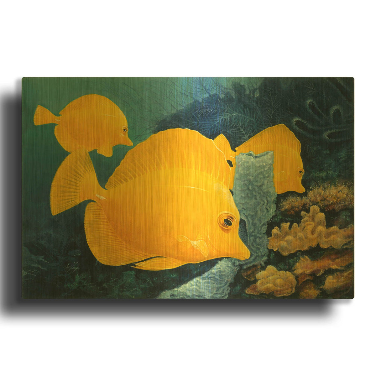 'Yellow Tangs' By Durwood Coffey Gold Metal Wall Art