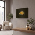 'Blue Ring Angelfish' By Durwood Coffey Gold Metal Wall Art