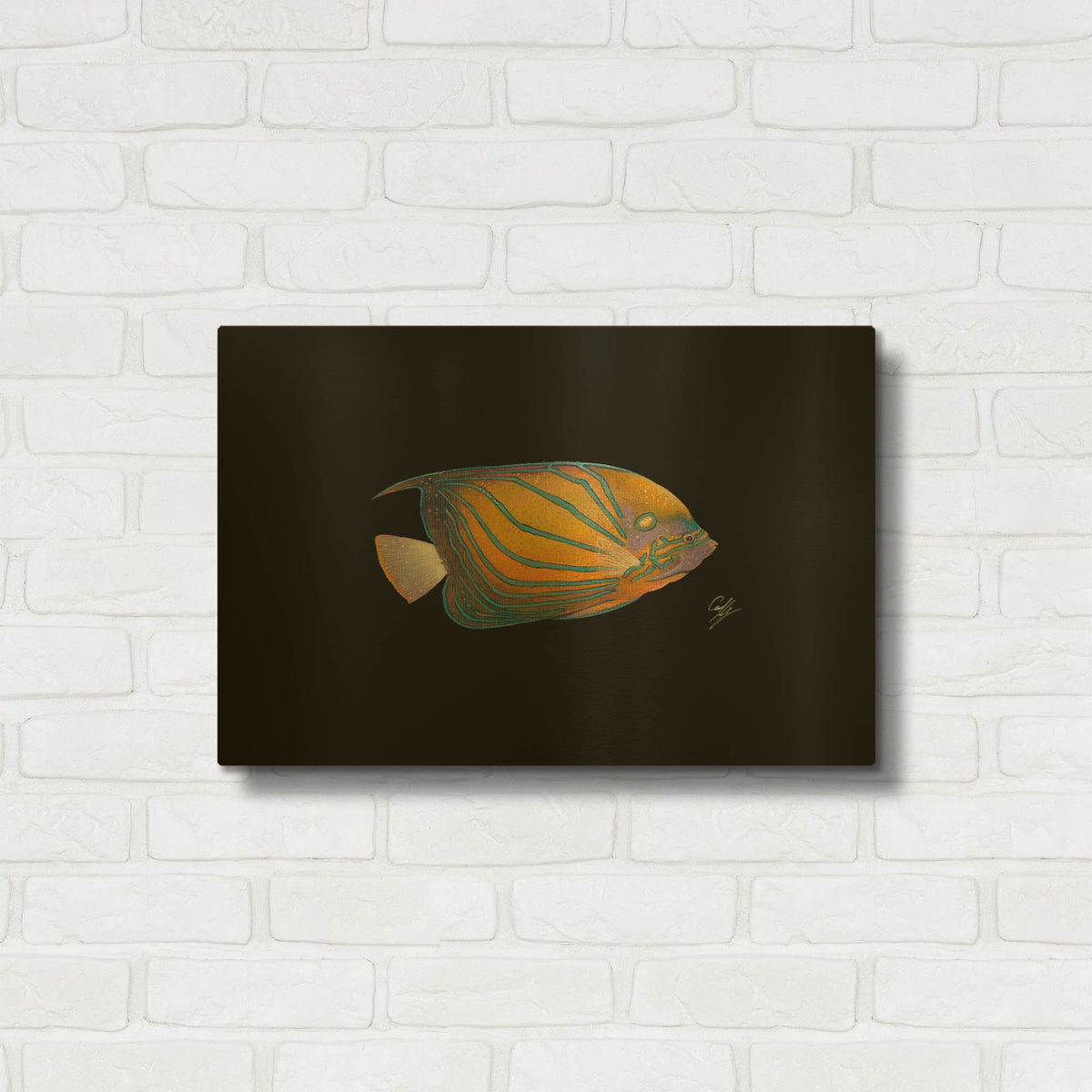 'Blue Ring Angelfish' By Durwood Coffey Gold Metal Wall Art