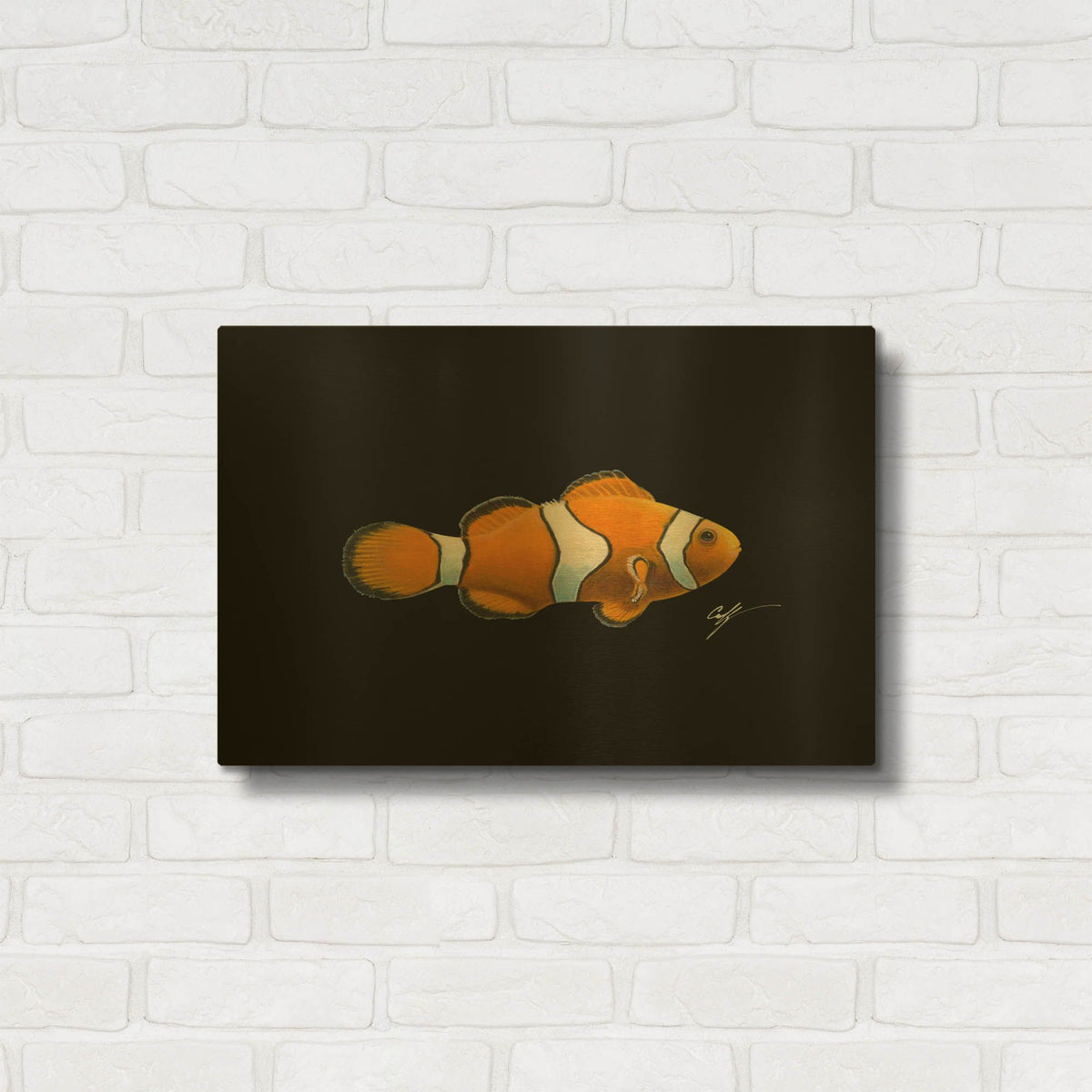 'Clown Fish on Black' By Durwood Coffey Gold Metal Wall Art