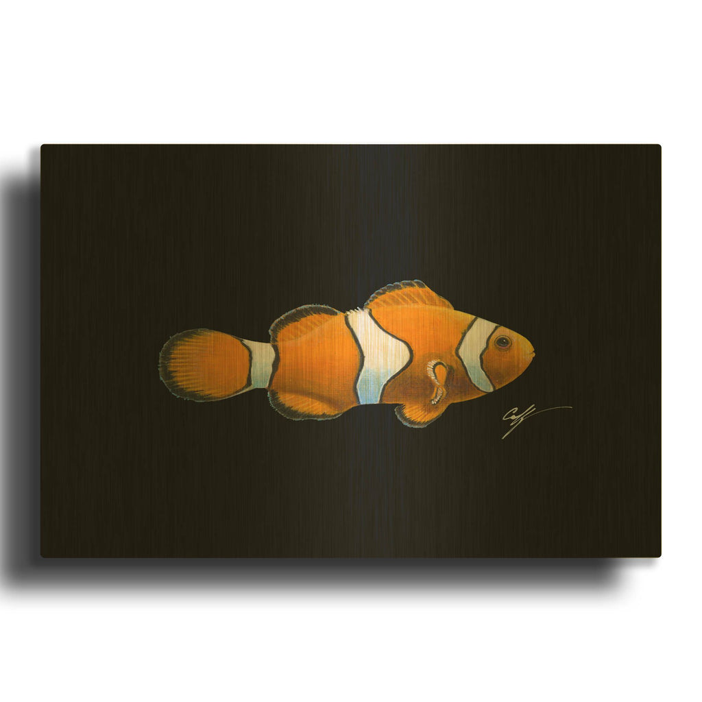 'Clown Fish on Black' By Durwood Coffey Gold Metal Wall Art