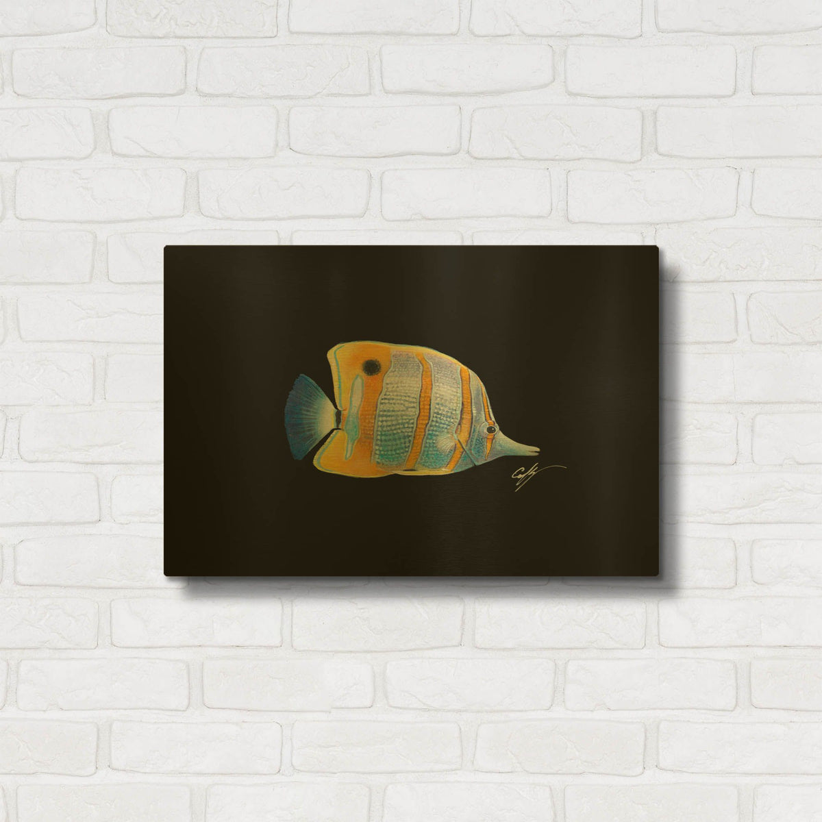 'Copperband Butterfly' By Durwood Coffey Gold Metal Wall Art