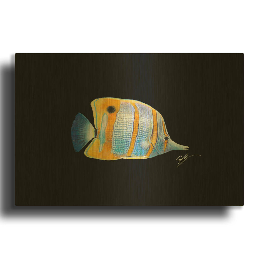 'Copperband Butterfly' By Durwood Coffey Gold Metal Wall Art