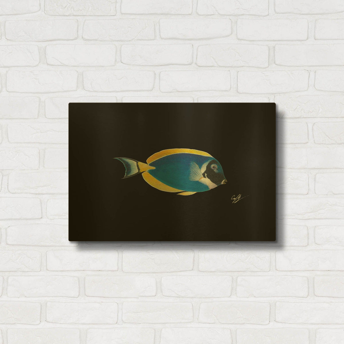 'Powder Blue Tang on Black' By Durwood Coffey Gold Metal Wall Art