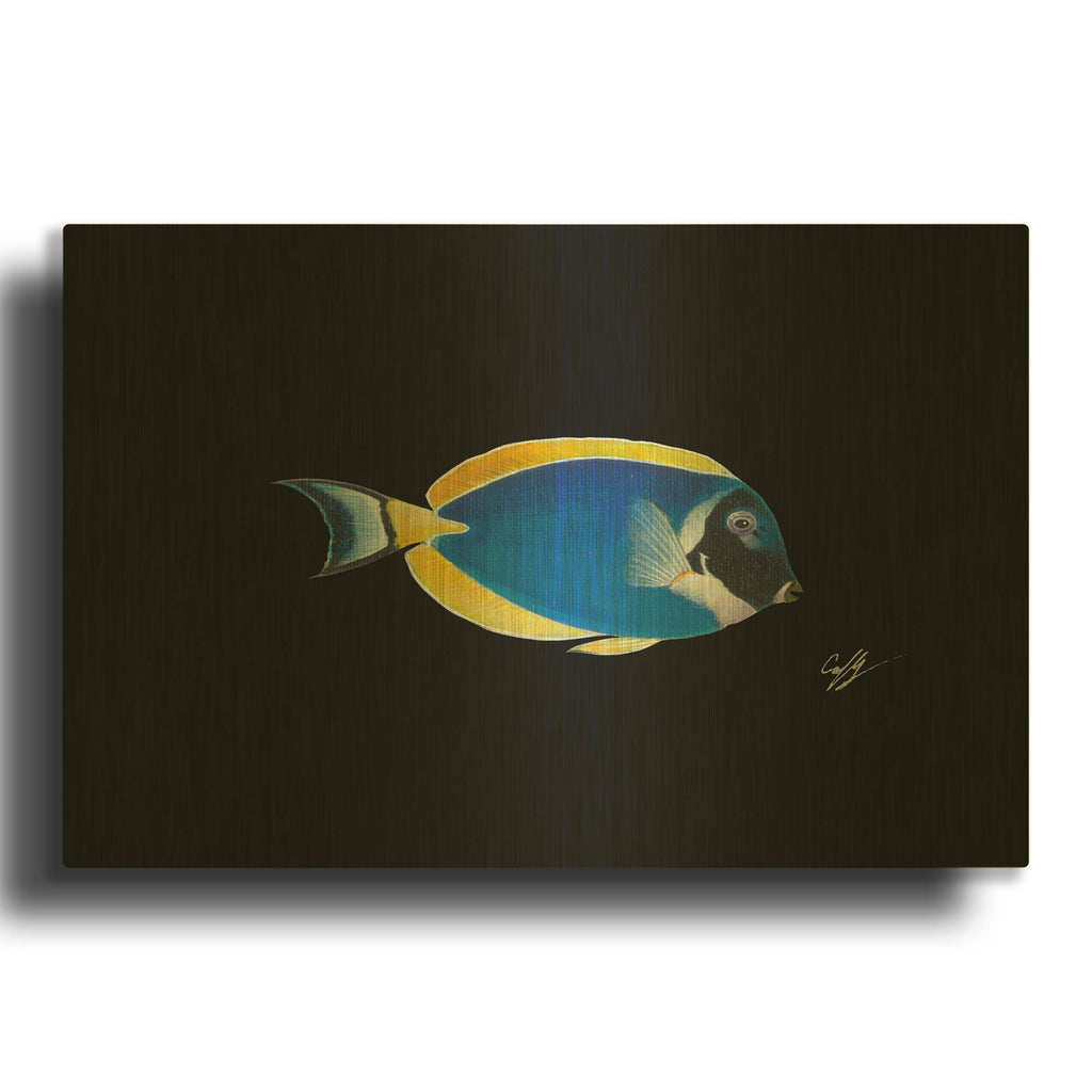 'Powder Blue Tang on Black' By Durwood Coffey Gold Metal Wall Art
