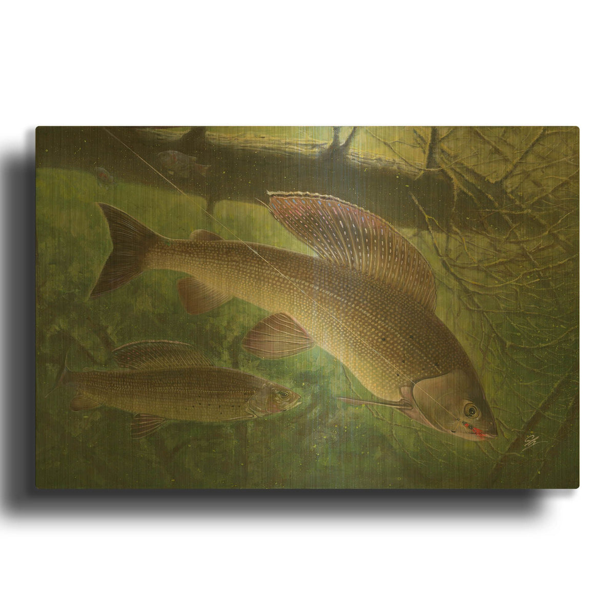 'Grayling Fish' By Durwood Coffey Gold Metal Wall Art