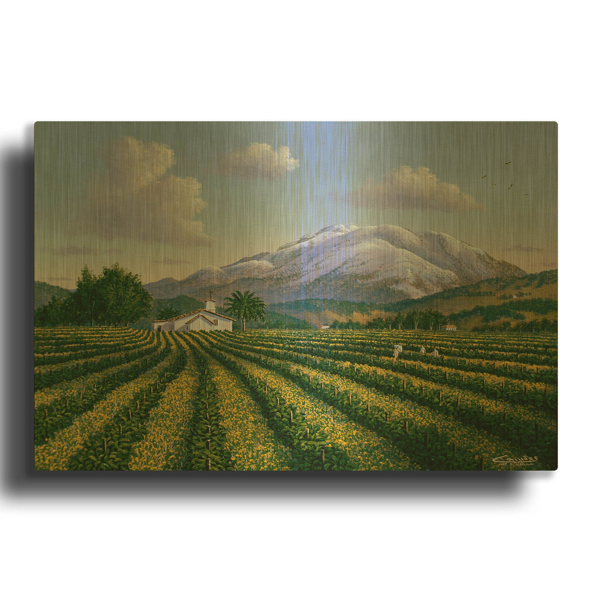 'Mount Sta Helena, Napa Valley' By Eduardo Camoes Gold Metal Wall Art