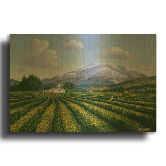 'Mount Sta Helena, Napa Valley' By Eduardo Camoes Gold Metal Wall Art