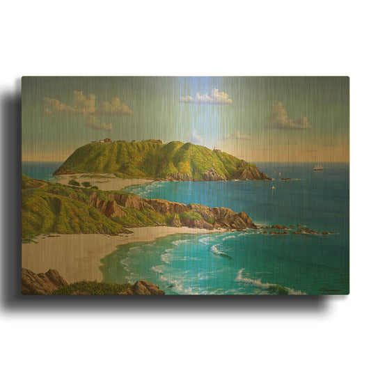 'Point Sur, CA' By Eduardo Camoes Gold Metal Wall Art
