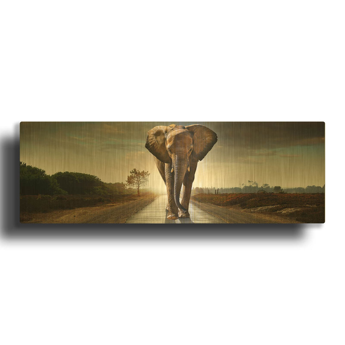'Bigger Than Life' By Luxe Gold Metal Wall Art