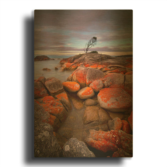 'Binalong Bay' By Everlook Photography Gold Metal Wall Art
