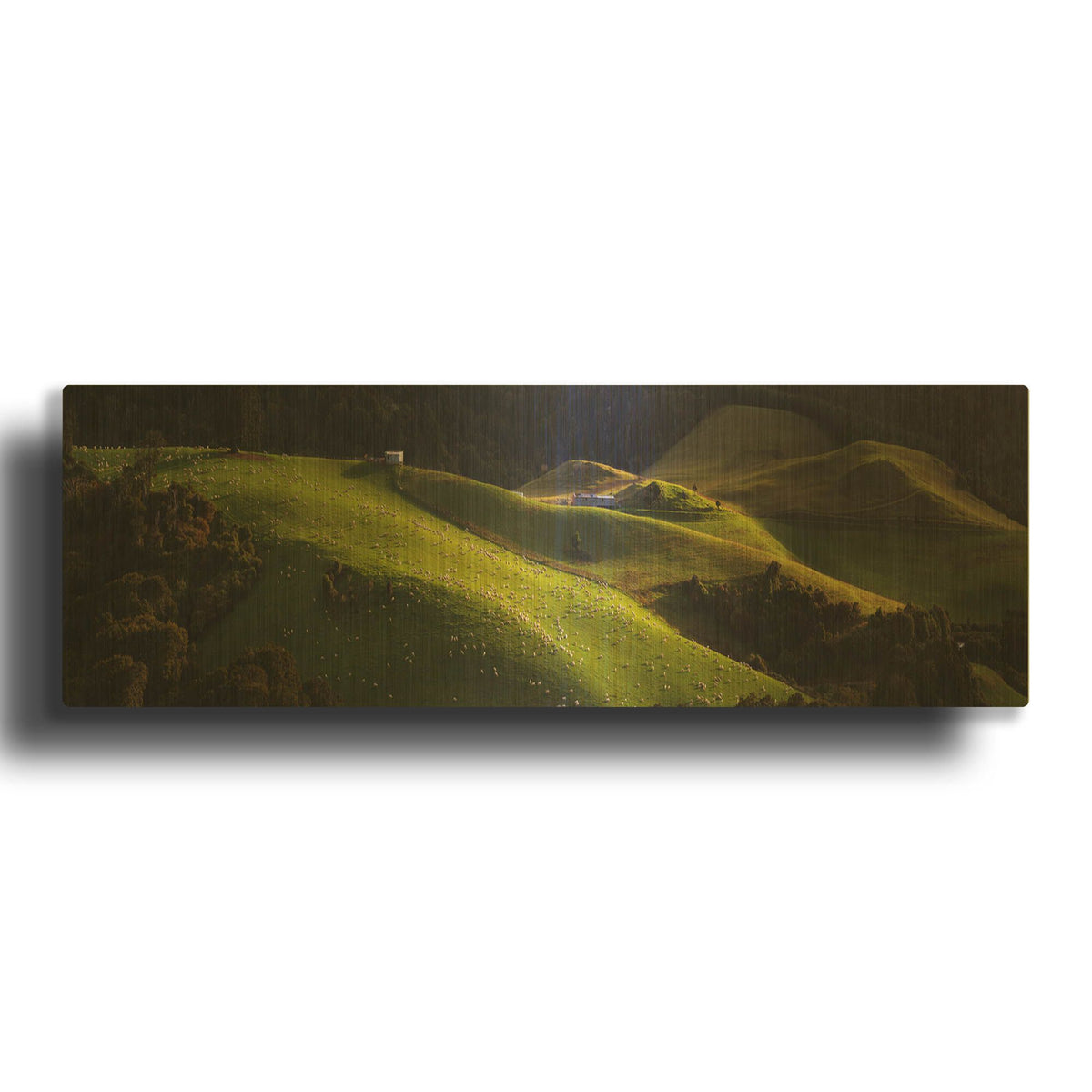 'Catlins' By Everlook Photography Gold Metal Wall Art