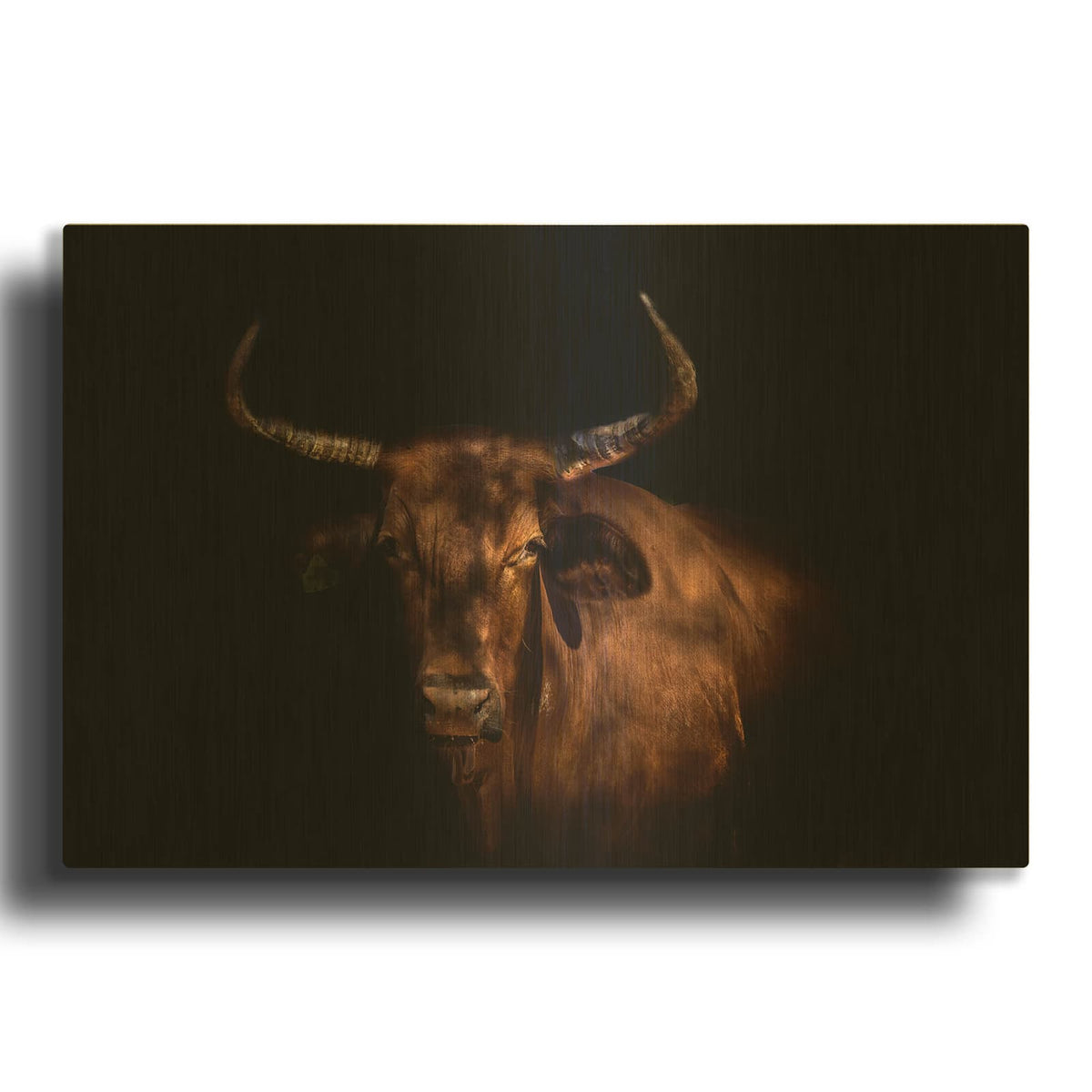 'Thoughtful Cow' By Luxe Gold Metal Wall Art