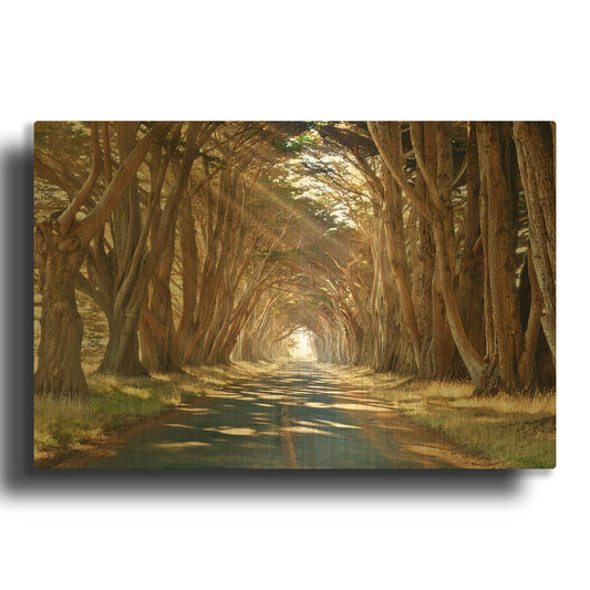 'Cypresses' By Alan Klug Gold Metal Wall Art