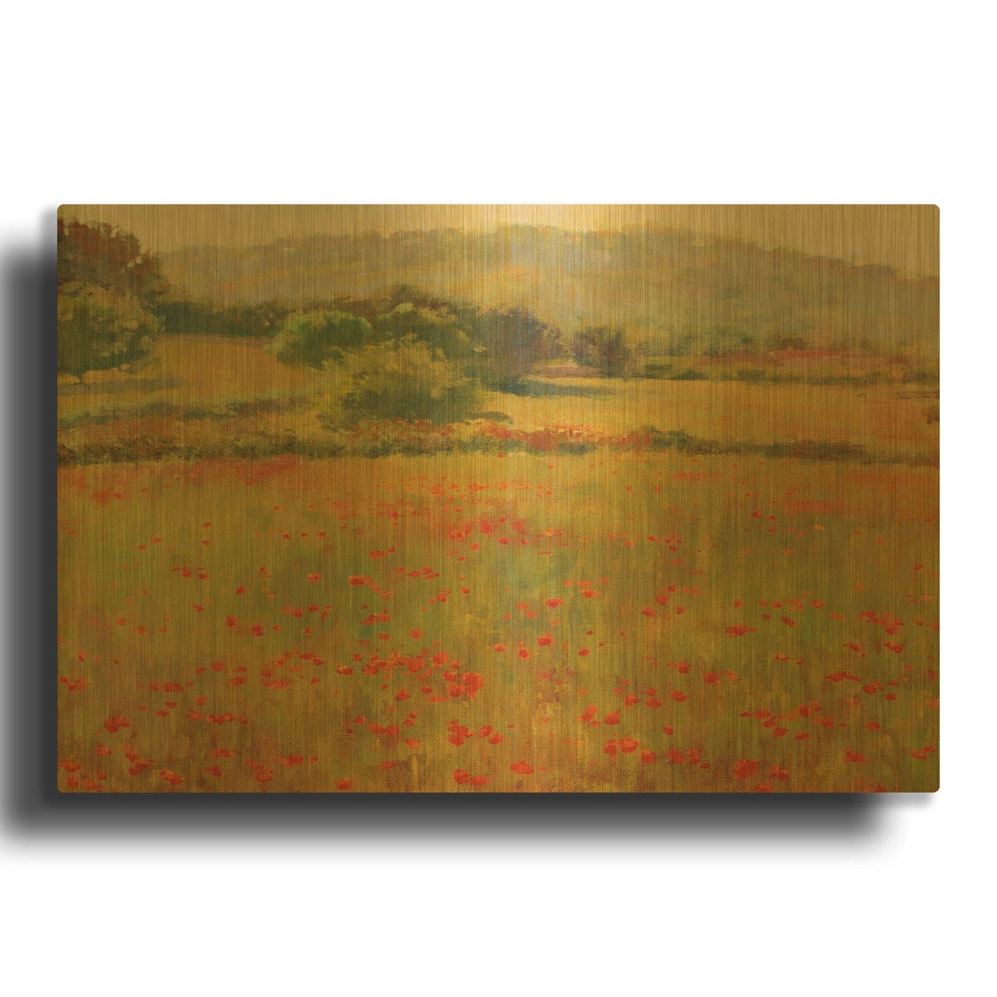 'Amapolas III' By Alex Hook Krioutchkov Gold Metal Wall Art