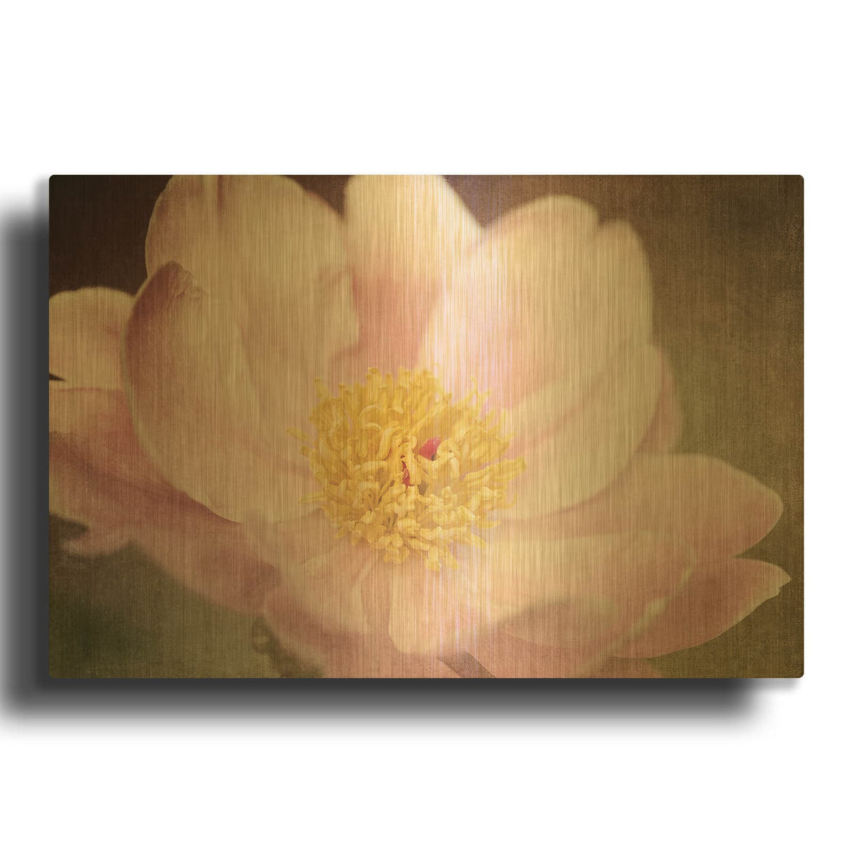 'Peony in the Park' By Dawn LeBlanc Gold Metal Wall Art