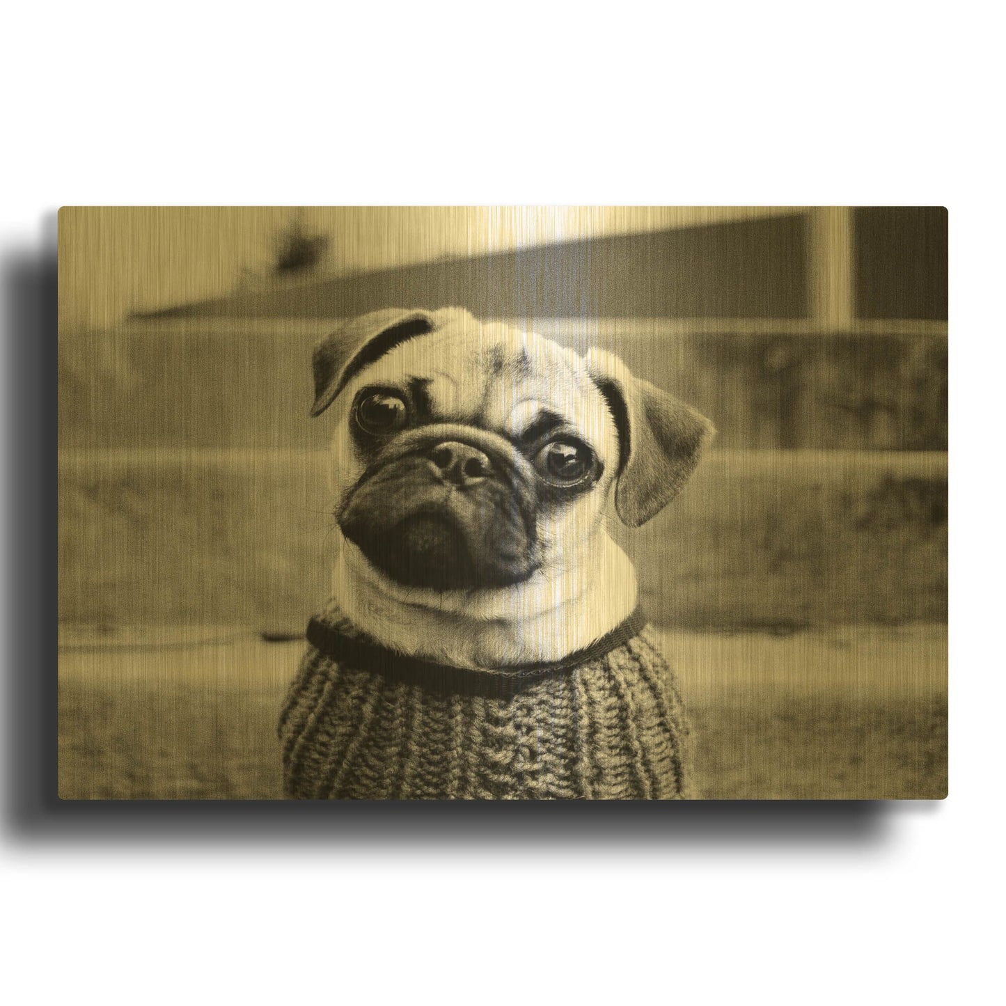 'Cleo' By Kim Levin Gold Metal Wall Art