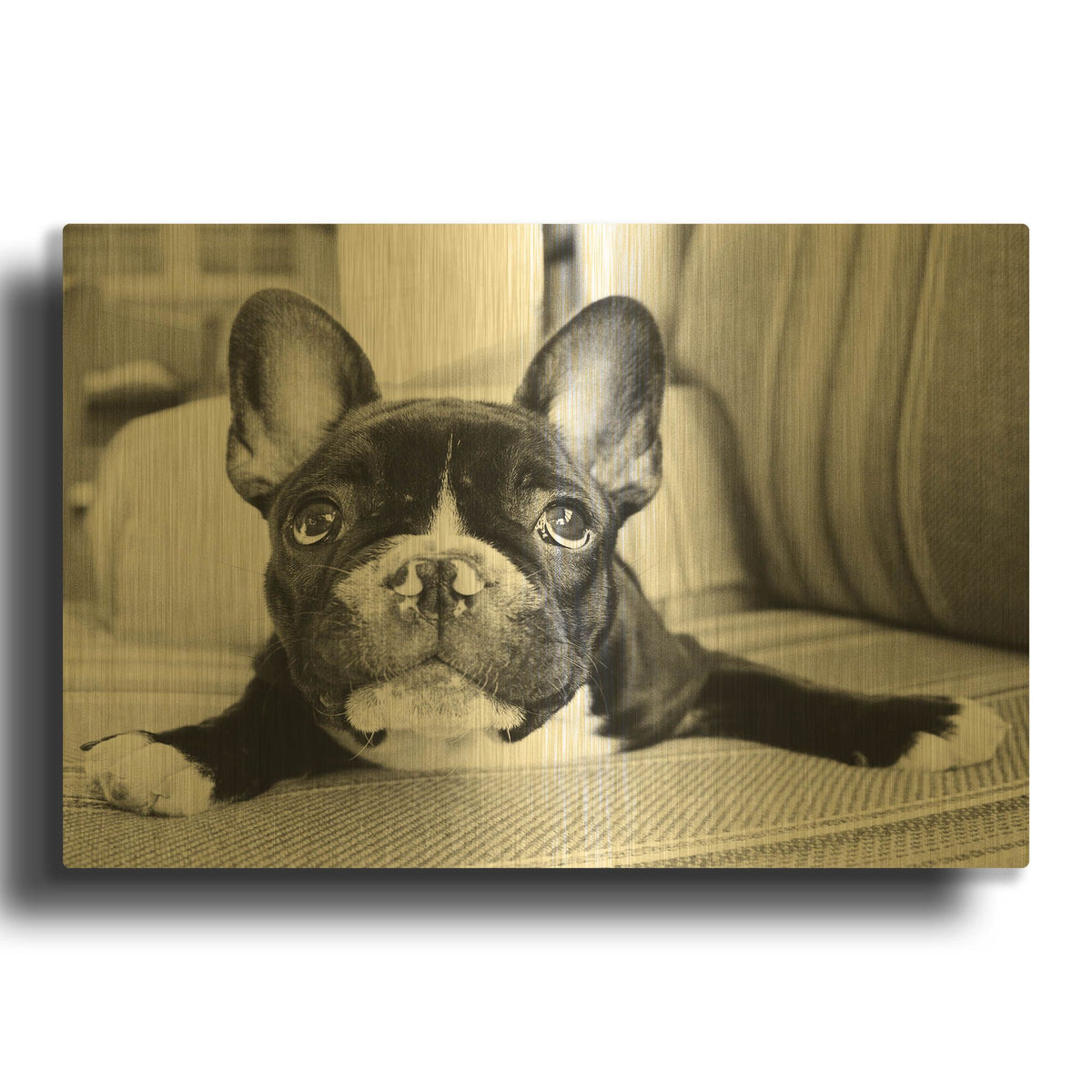 'Hugo' By Kim Levin Gold Metal Wall Art