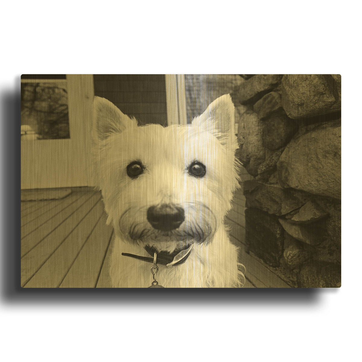 'Rosie' By Kim Levin Gold Metal Wall Art