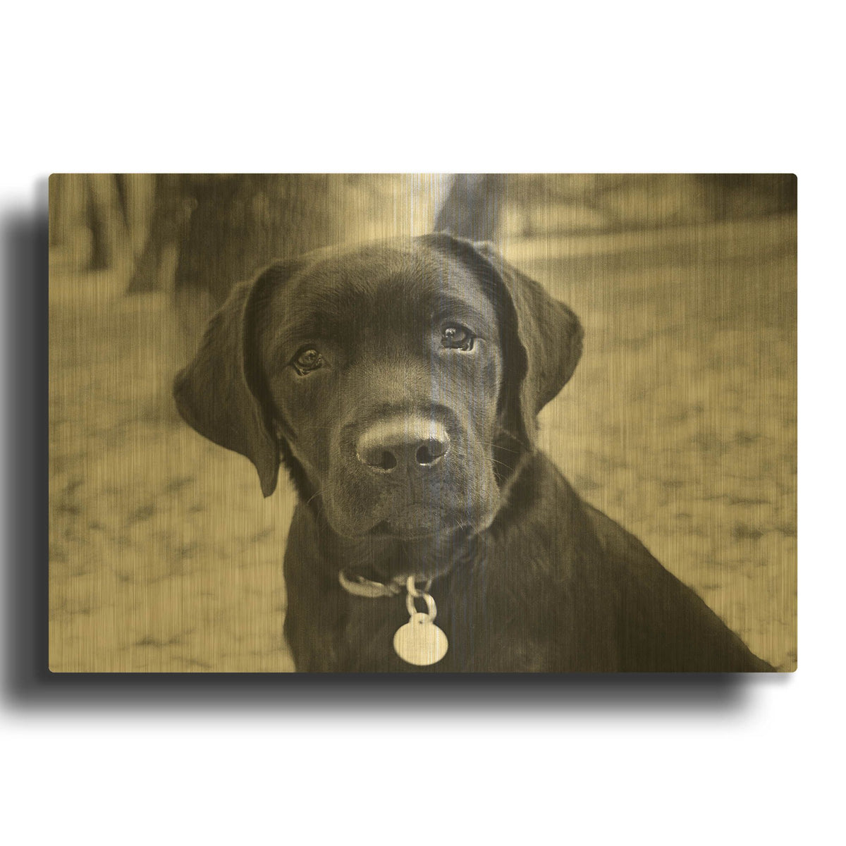 'Zoey' By Kim Levin Gold Metal Wall Art
