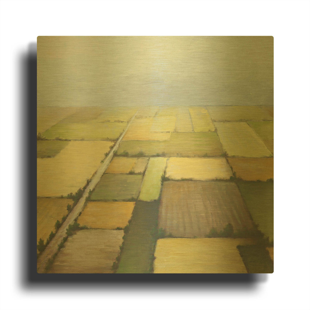 'Farmland From Above' By White Ladder Gold Metal Wall Art
